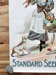 D.M. FERRY & COMPANIES STANDARD SEEDS ADVERTISING POSTER REPRINT? 24 X 12.5