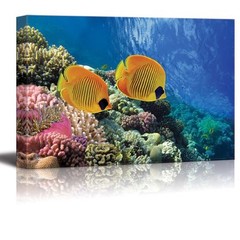 Canvas Prints Wall Art – Coral Reef and Tropical Fish in Sunlight – 12″ x 18″