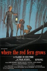 Where the Red Fern Grows (1974) POSTER 24 X 18 Inches Nice!