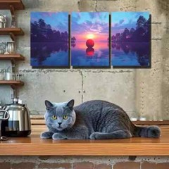 3pcs X3 Living Room Bedroom Wall Art Canvas Framed 50x70cm