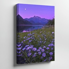 Purple Wildflowers Lake Mountain Moon Canvas Wall Art Nature Landscape Home