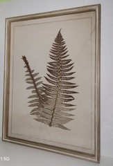 Brown Wood Fern Leaf Framed Wall Art with White Brown Plastic Framed 25.5-in H x