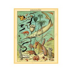 Oceanography Dictionary Poster Print, Antique Home Décor, 8″ x 10″ REPRODUCTION