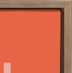 Sylvie Flower in Orange Framed Canvas Wall Art by Apricot and Birch, 18X24 Gold,