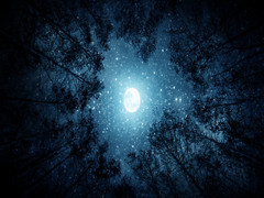 Moon And Stars with Dark Trees 5mm thick Plastic Poster Ready to Hang 60x45cm