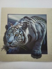 White Tiger 3D Lenticular Picture 15.5″ X 15.5″ (Pic 11.5″ X 11.5″ Insert) New