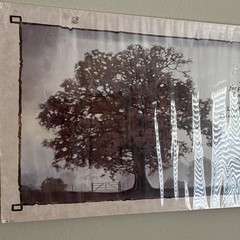 Bonnie L. Mohr Living Life Tree Inspirational Quote Print, Horizontal Paper