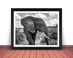 Africa Savanna ELEPHANT Photo Picture 8×10 11×14 16×20 w/Framed Option (W2)