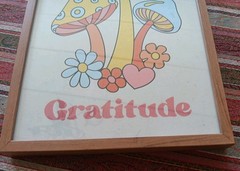 Sapna Shah Framed Wall Art Mushrooms Retro “Gratitude” Home Decor 18’ x 12’