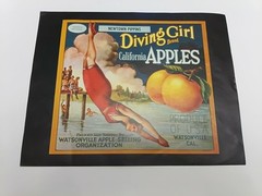 Vintage Diving Girl California Apples Black Border Poster 8 x 10 Glossy Art