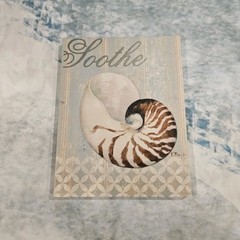 Coastal Beach Wall Art Set of 3 Canvas Prints Shell Starfish Nautical Decor Calm