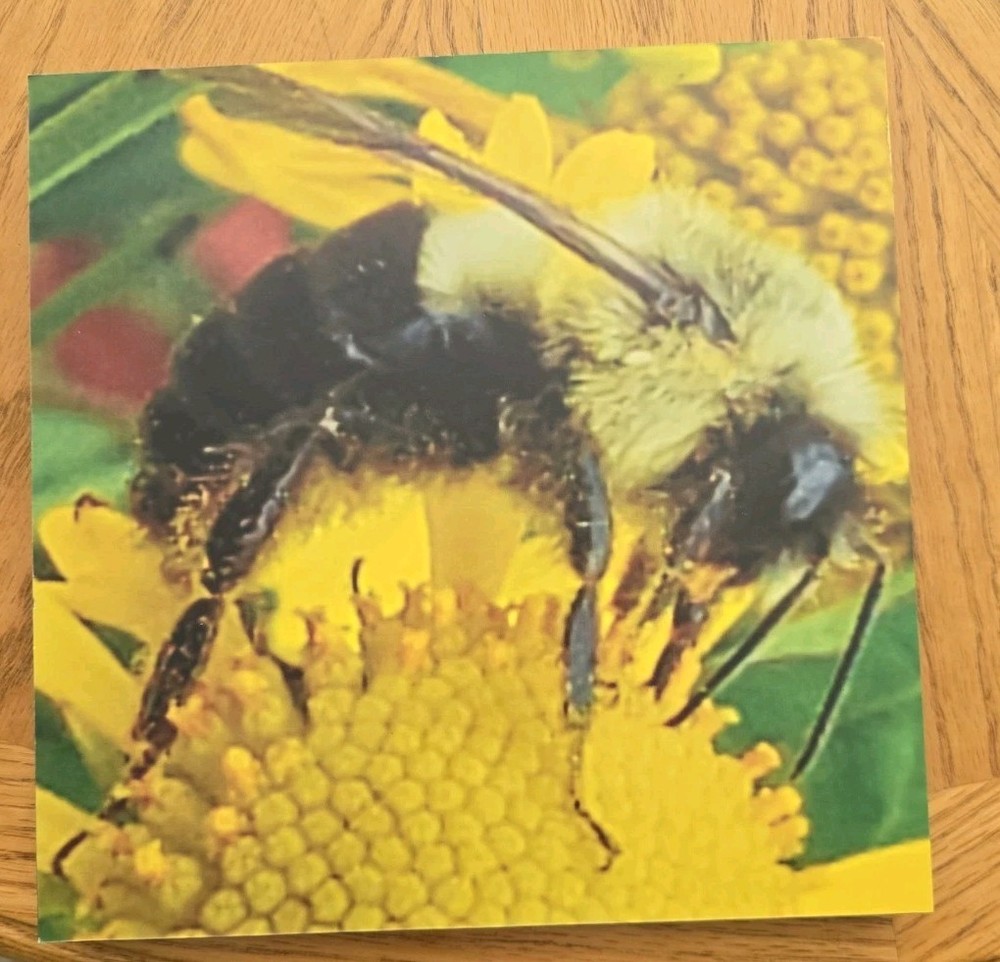 Busy Bee Tile Picture