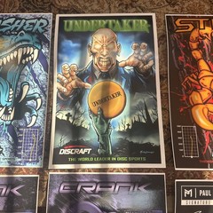 Discraft 12″ X 18″ Disc Golf Poster Collection