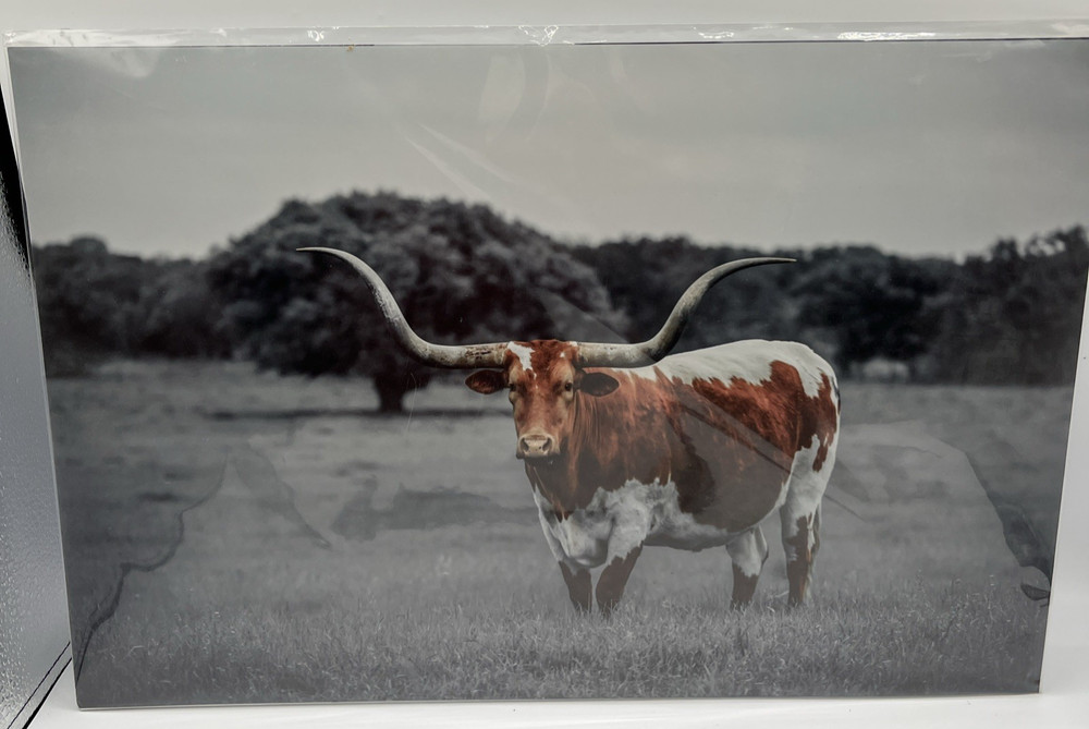 Texas Longhorn Steer Cattle Western Animal Wall Picture Art 18″x12″