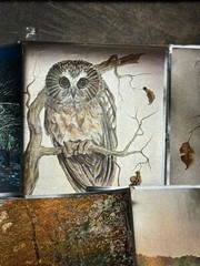 Vintage Metallic Foil Art Vintage 3D Effect Lot Aesthetic Impressions Owls Ducks