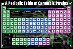 A Periodic Table of Cannabis Strains Poster 36″ x 24″