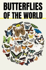 Butterflies of World Science Classroom Chart Art Wall Room Poster – POSTER 20×30