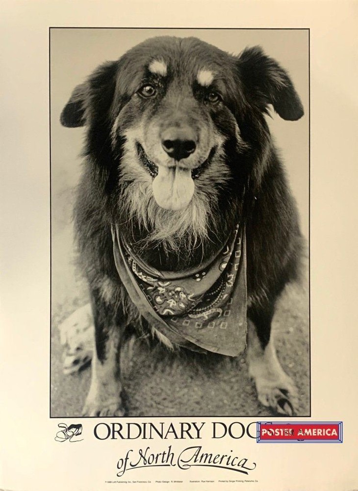 Ordinary Dogs of North America Photography by R Whittaker 1988 Vintage Poster