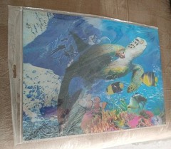 3D holographic posters, ocean life & kittens (15.5″ x 11.5″) Lot 2