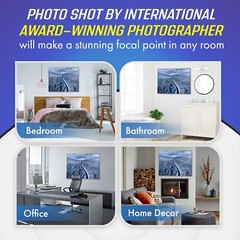 Large Modern Nature Canvas Art for Living Room, Bedroom, Dining Room 16 x 24