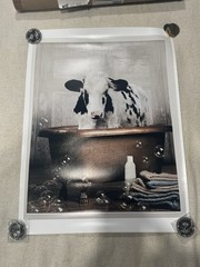18” X 24” Holstein Cow Bathing In Tub Art Print W/ White Matte Border. Painting