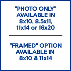 LION Photo Picture AFRICA SAVANNA KING 8×10 11×14 16×20 w/Framed Option (W8)