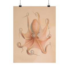 Antique Octopus Illustration Poster | Matte Vertical Poster