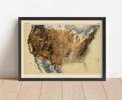 USA 2D Relief Map, United States Vintage Map (Darker Version) – 2D Flat Print