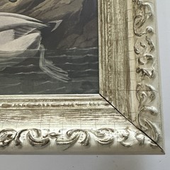 Audubon Framed Print Ducks John James Vintage frame 14×10
