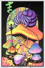 Alice in Wonderland Blacklight Poster 23 x 35