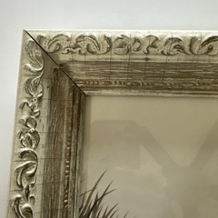 Audubon Framed Print Ducks John James Vintage frame 14×10
