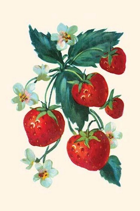Five Strawberries and Flowers