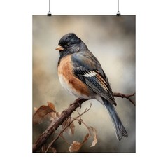 Junco Bird Art Print, Bird Painting, Bird Wall Art, Bird Watercolor