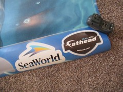 Real Big Fathead Dolphin Seaworld wall poster Large 48×72″ 4×6′