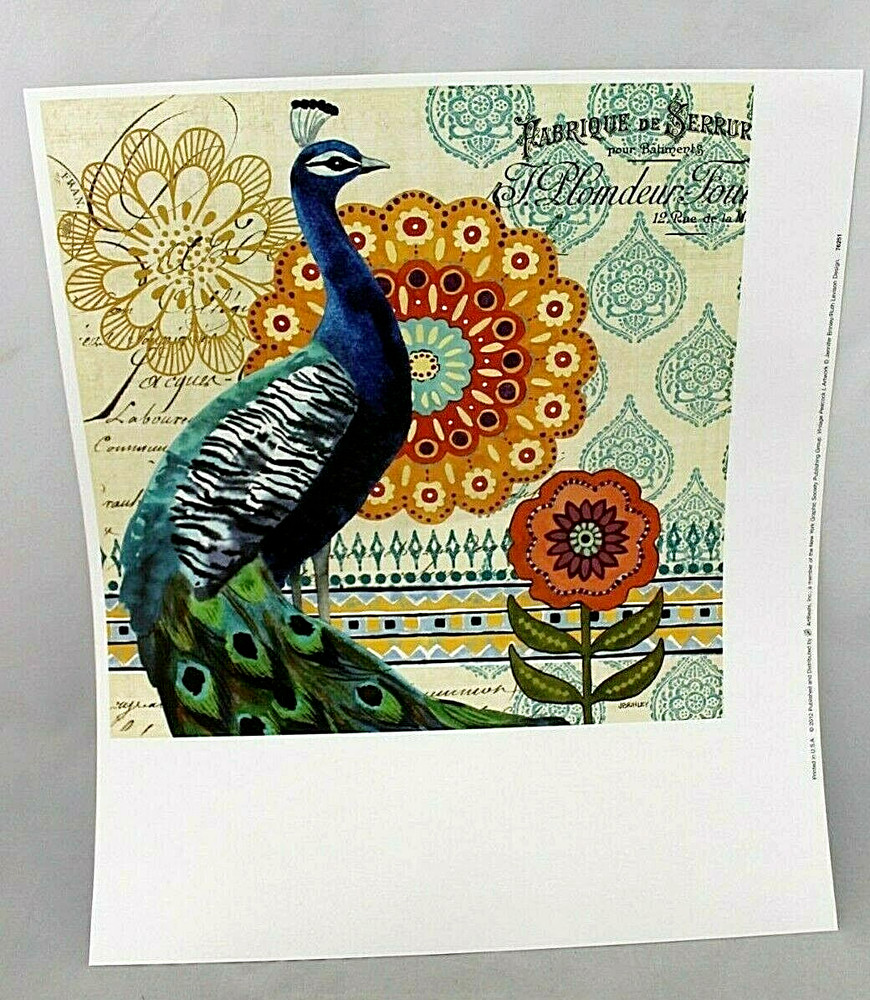 Jennifer Brinley Peacock I Wall Art Print 12″ X 12″ Square 16″ X1 4″ MATTE VTG
