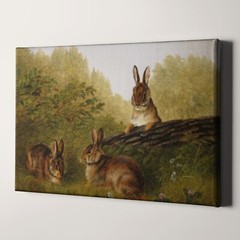 Rabbit Family Bunnies Old Paintings Landscape Wildlife Canvas Wall Art Print