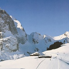 Switzerland – Berner Oberland – 1987 Retro Travel Poster
