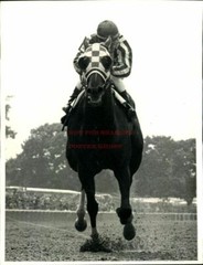 Triple Crown Horse Photo Poster: SECRETARIAT Poster 2 (20×30)
