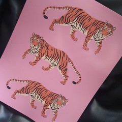 Retro Tiger Art Print Glossy 8.5×11 Cartoon Animal Pink Background Unframed