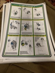 1984 Vintage Bruce Algra Weight Training Fitnus Chart Series Lot Of 12 16×11 In