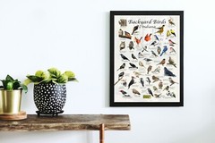 Birds of Indiana Backyard Birding Identification Print / Bird Field Guide