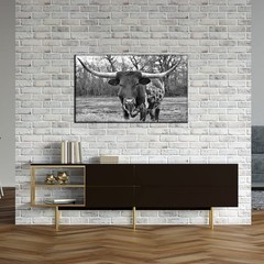 Black and White Animal Wall Art Longhorn Picture Prints Modern Office Living …
