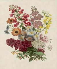 Vintage French Botanical Boquet Print Set Flower Floral Wall Art Prints Set of 6