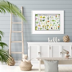 Native Wildflowers of Louisiana Flower Identification Poster / Name & Bloom Time