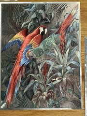 Vintage Holo Optical Illusion Art Prints Foil by Manifestations Inc