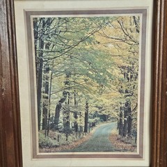 Vintage Framed Forest Prints Cottage Country Wall Art Rustic Farmhouse Decor