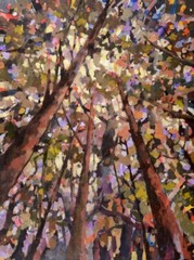 Looking Up Through Trees, Jean Cauthen, Wall Art Print Poster 14″ x 11″ 3094