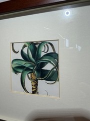 Set Of 2 Pottery Barn Framed Botanicals Artwork Room Decor 9” X 9”