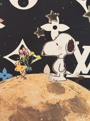 Death NYC Snoopy Woodstock Moon Louis Vuitton Stars Framed Space Art