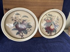 Set of 2 Benoit Chirat Botanical Prints in Round Frame with Convex Glass